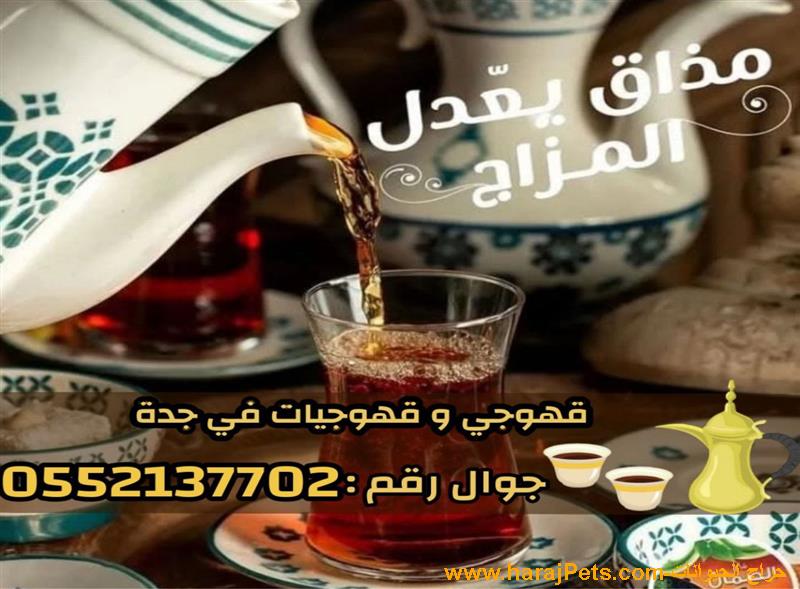 قهوجيين وقهوجيات مباشرين قهوة في جدة 0552137702