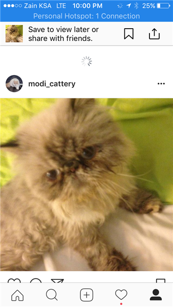 هملايا بكيً فيس للبيع