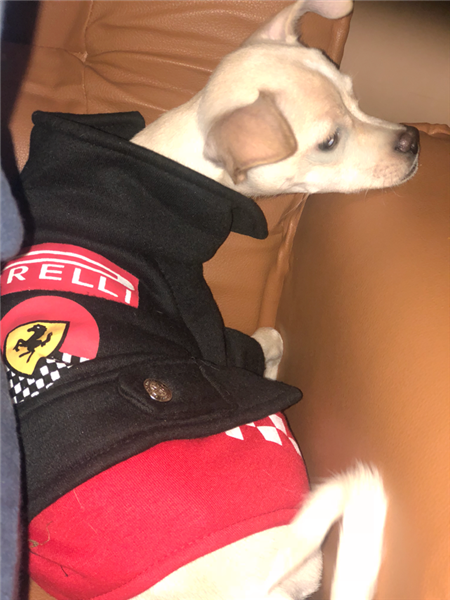 السعوديه- الرياض