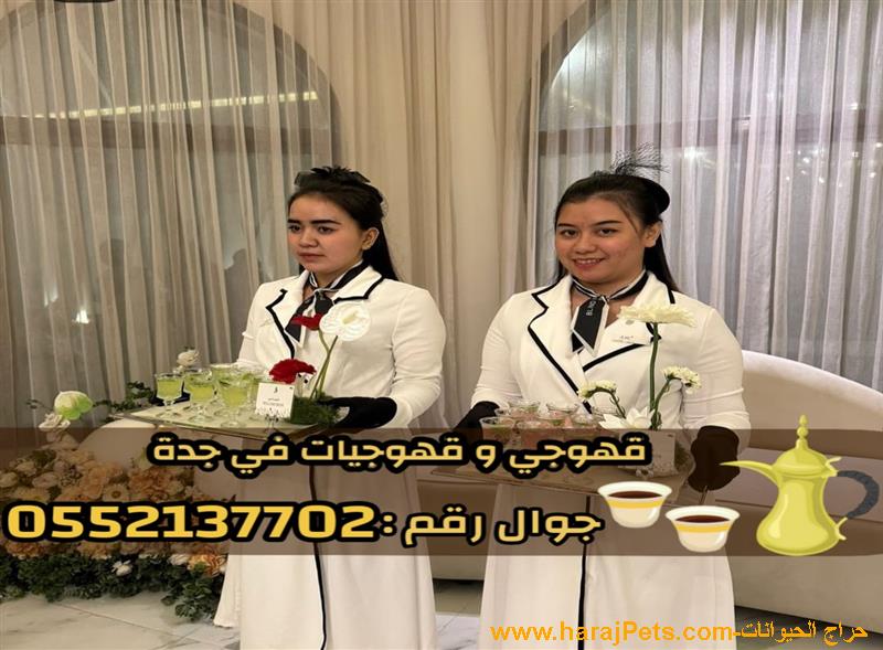 مباشرين قهوة في جدة – خدمة راقية 0552137702