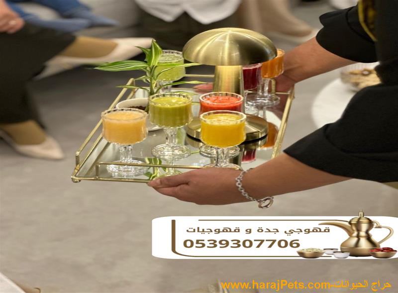 قهوجيين و مباشرين قهوة في جدة – ضيافة أبو صالح