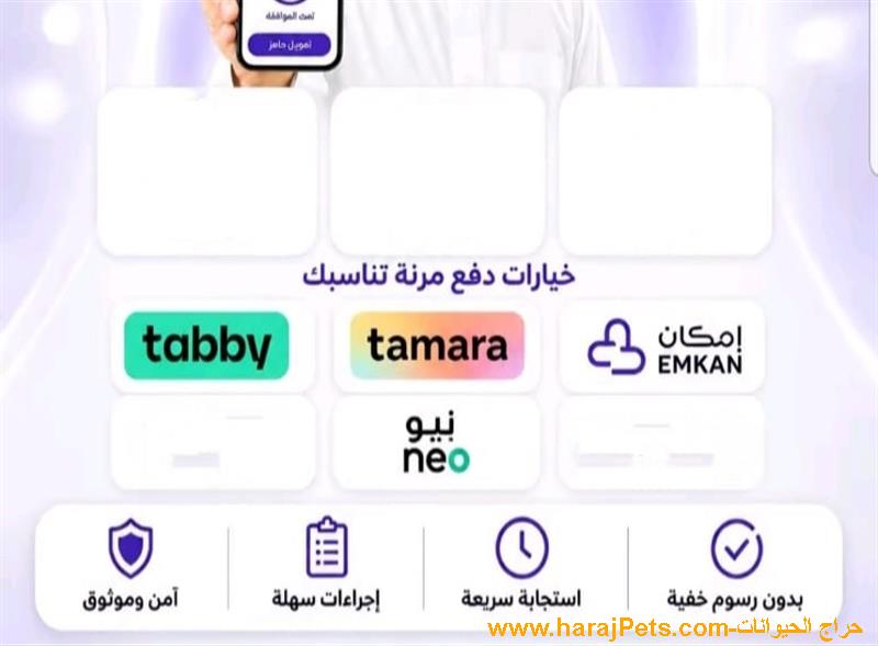 سلفه تابي او تمارا او إمكان او نيو