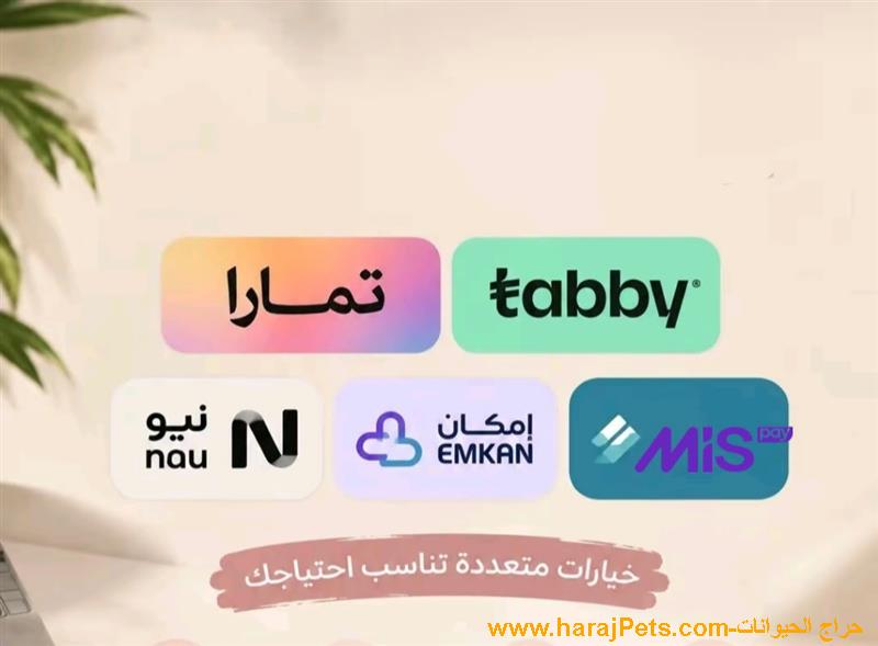 سيولة تابي او تمارا او ميس بي او إمكان او نيو