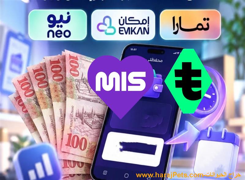 سيوله تمارا وإمكان ونيو وتابي وميس بي