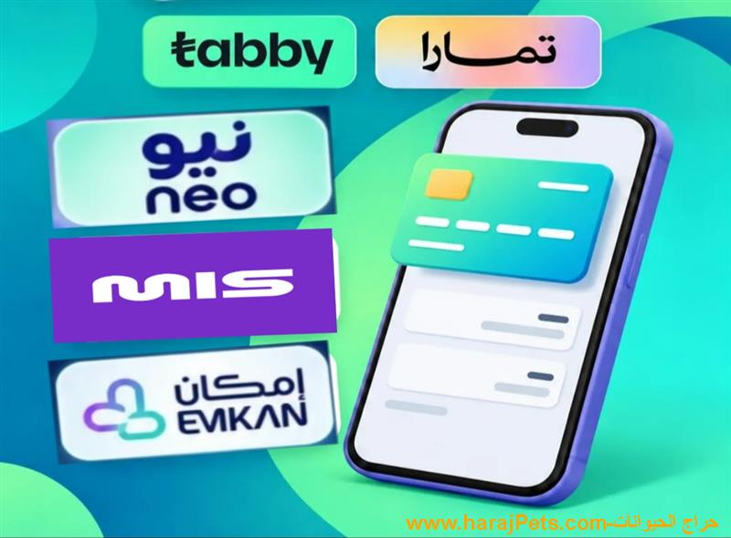 سيوله تمارا وتابي ونيو وميس بي وإمكان