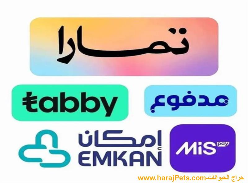 سيوله تابي او امكان او مدفوع او تمارا