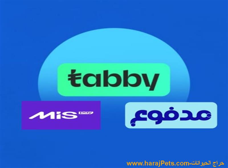 سيوله ميس باي وتابي ومدفوع