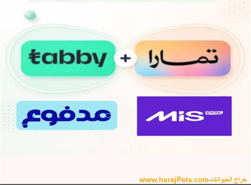 سلفة تمارا او تابي او ميس باي او مدفوع
