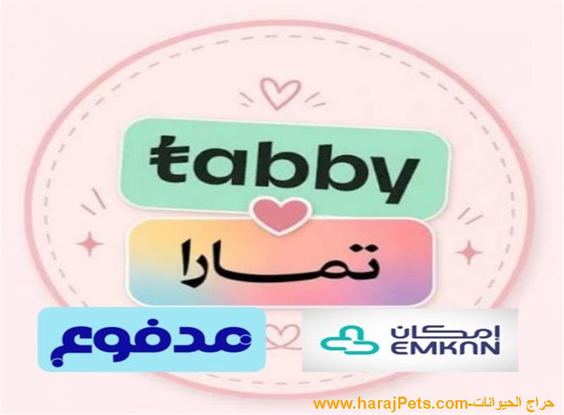 تمويل تابي وتمارا وامكان ومدفوع