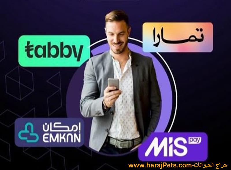 سيولة تمارا او تابي او امكان او ميس باي