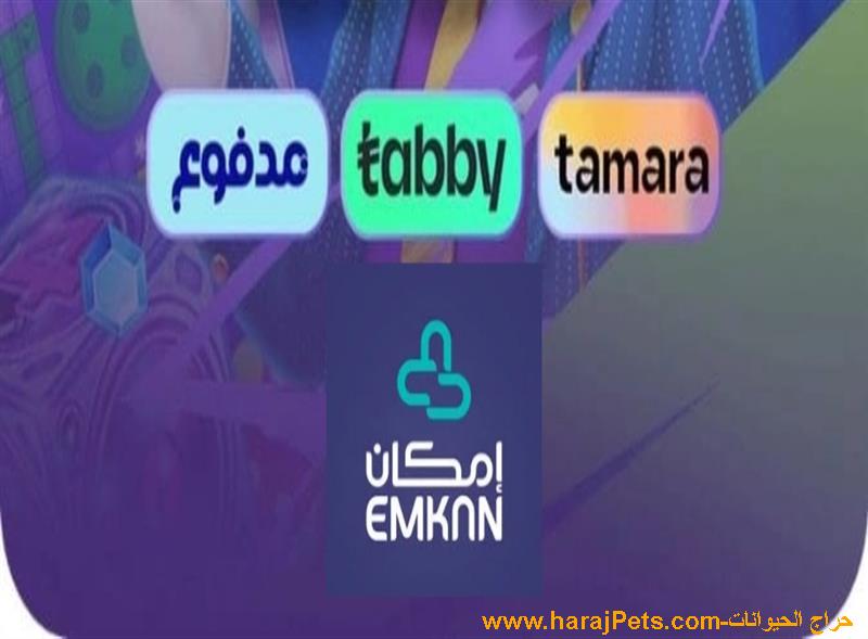 سيوله تابي وتمارا ومدفوع وامكان