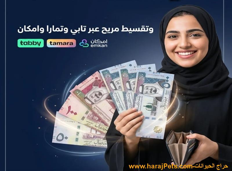 سيوله امكان وتمارا وتابي ومدفوع