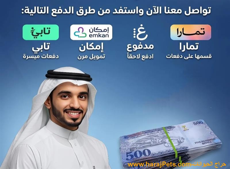 تمويل سلفه تابي او تمارا او امكان او مدفوع