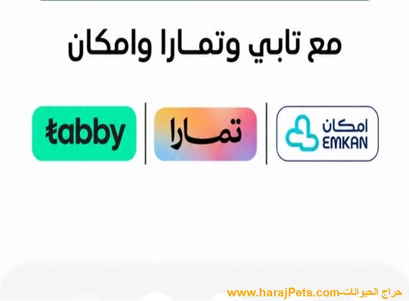 سيوله تابي ومدفوع وتمارا وامكان