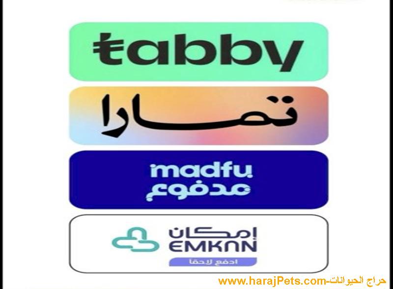 سلفة تابي او تمارا او مدفوع او إمكان