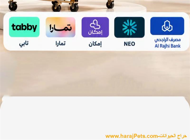 سيوله تمارا وتابي وامكان ونيو والراجحي