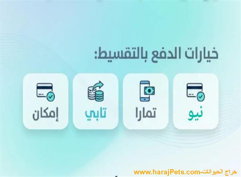 سيوله نيو او تمارا او تابي او إمكان