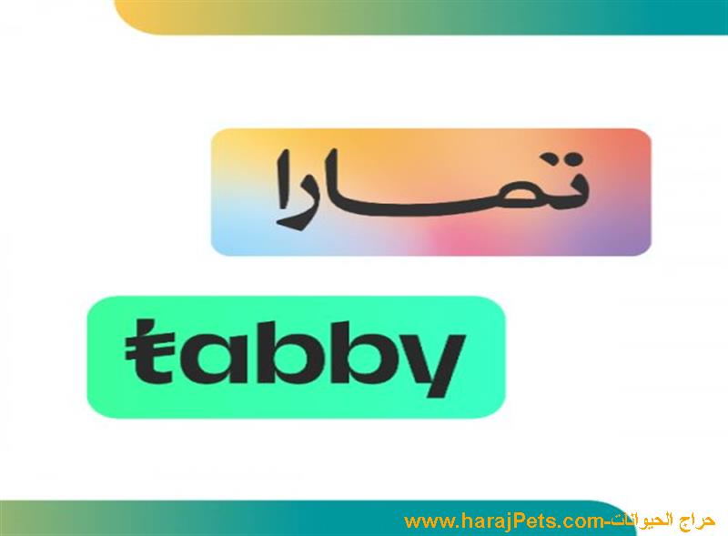 سلفه فوريه من تابي وتمارا