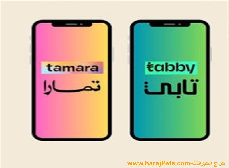 سيوله تابي وتمارا ومدفوع