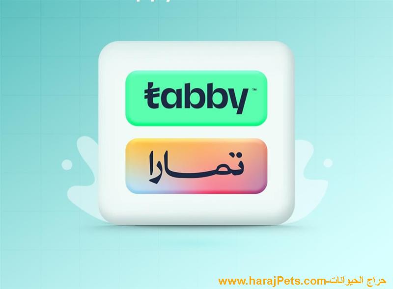 سيوله تابي وتمارا ومدفوع وامكان