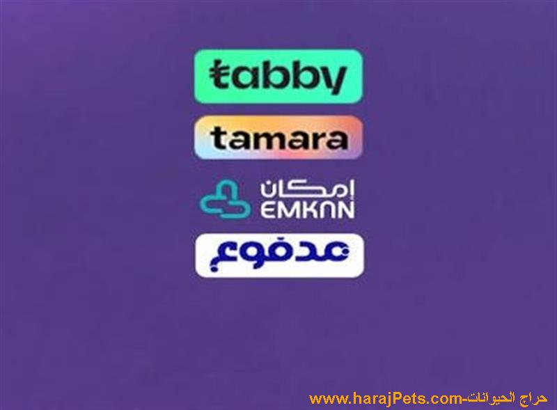 سلفه تابي وتمارا ومدفوع وامكان