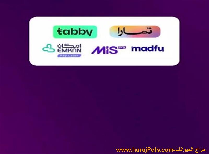 تمويل تابي وتمارا ومدفوع وامكان