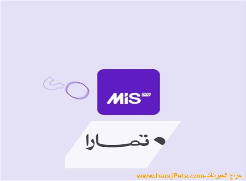 سيوله ميس باي وتمارا