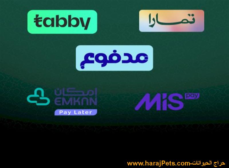 سيوله تمارا وتابي وامكان