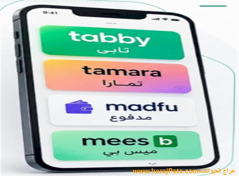 سلفة تابي وتمارا مدفوع وميس باي