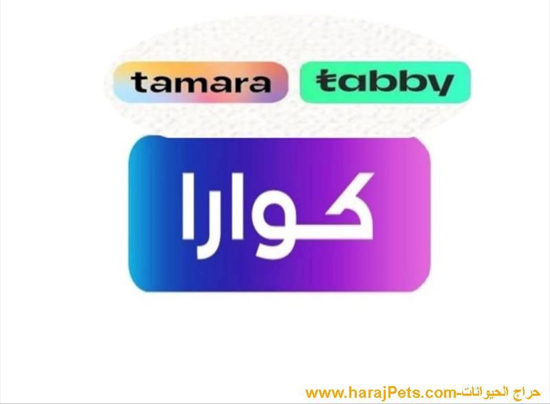 سيوله كوارا وتابي وتمارا