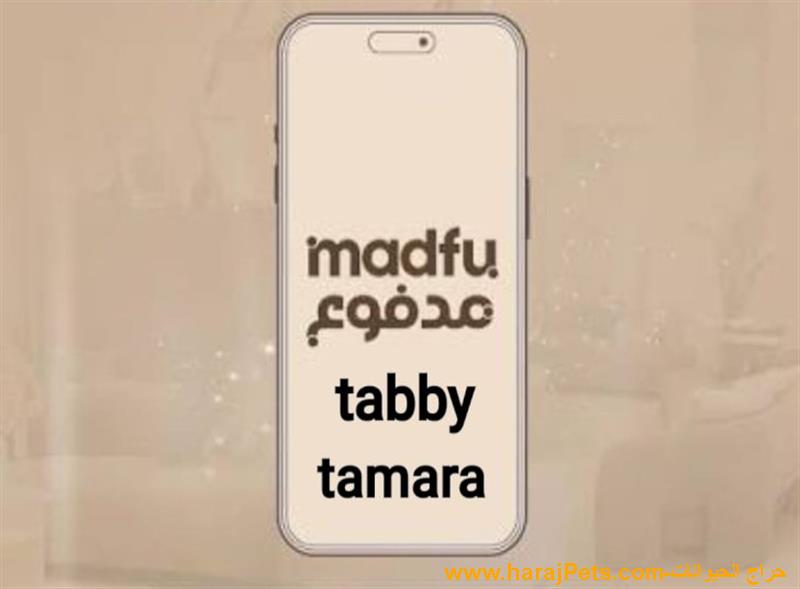سيوله مدفوع وتمارا وتابي