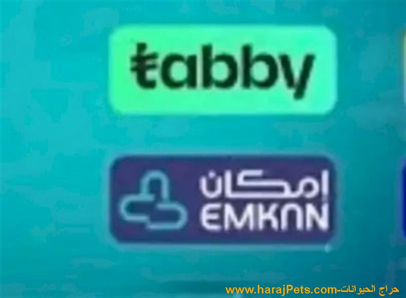سيوله امكان او تابي