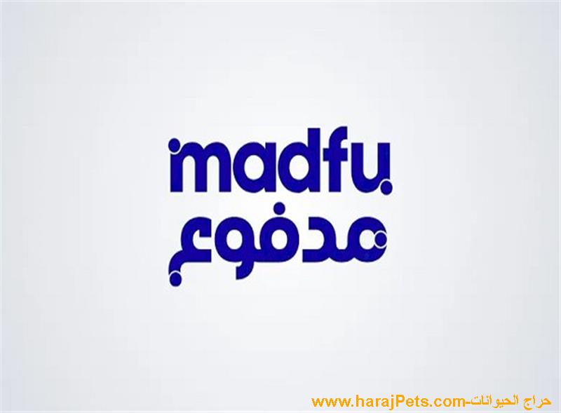 سيوله مدفوع