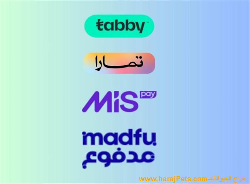 سيوله تابي وتمارا ومدفوع وميس باي