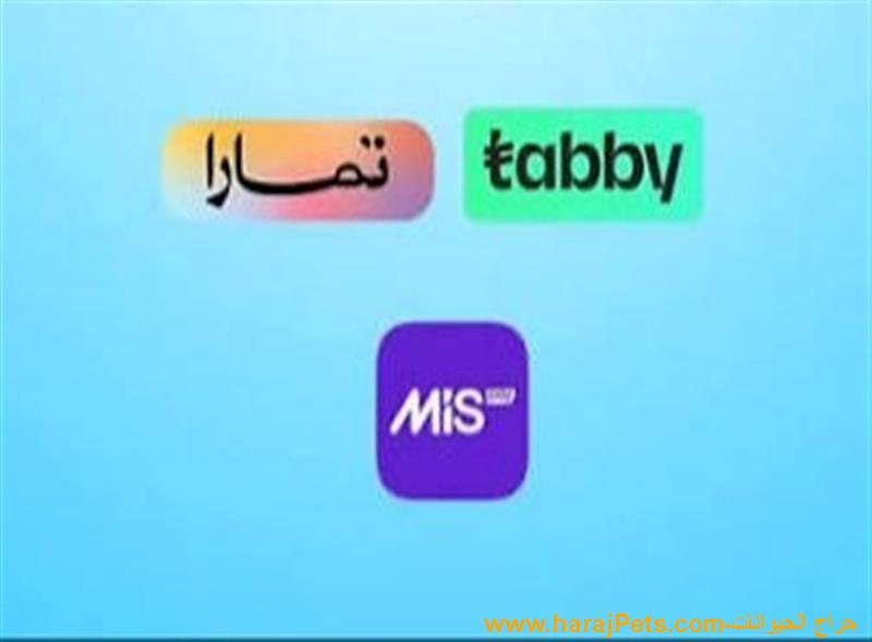 سيوله تابي وتمارا وميس باي