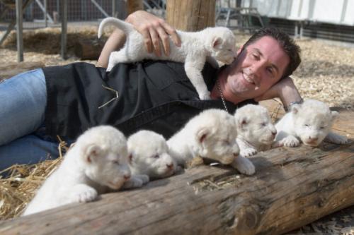 exotic white lion cubs for sale